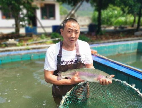 产量下降态势逆转，上半年四川渔业经济总产值同比增长7.79%