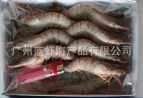 厂家直销海鲜大量批发 一手货源冷冻水产品 越南草虾19