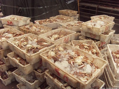 玉环县美滋滋水产品 鲜活水产品冷冻加工及销售的优质企业